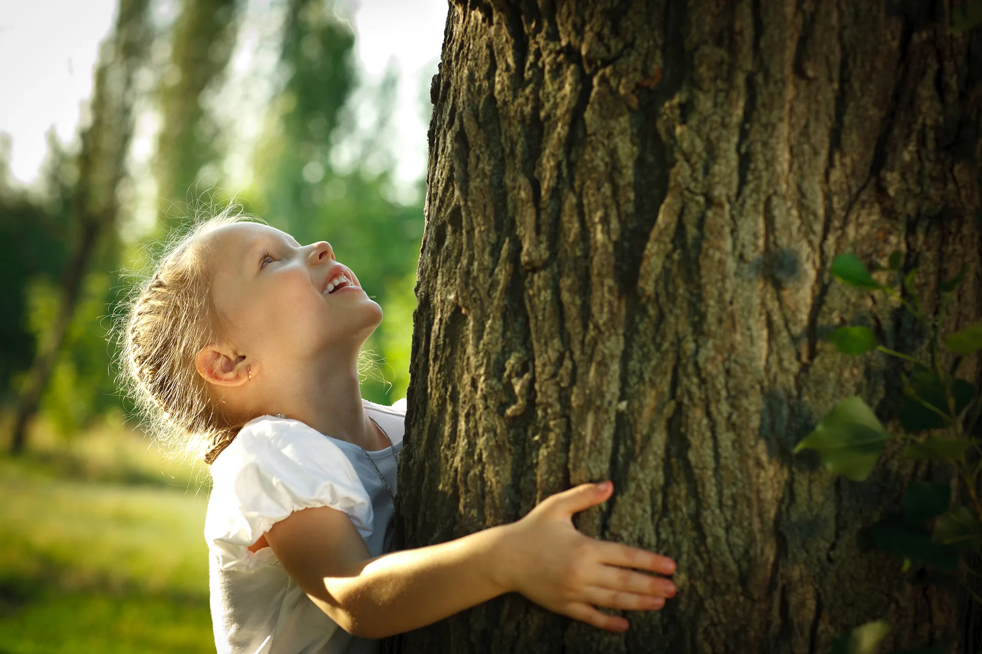 Baum maedchen shst 104475683 1 paffy